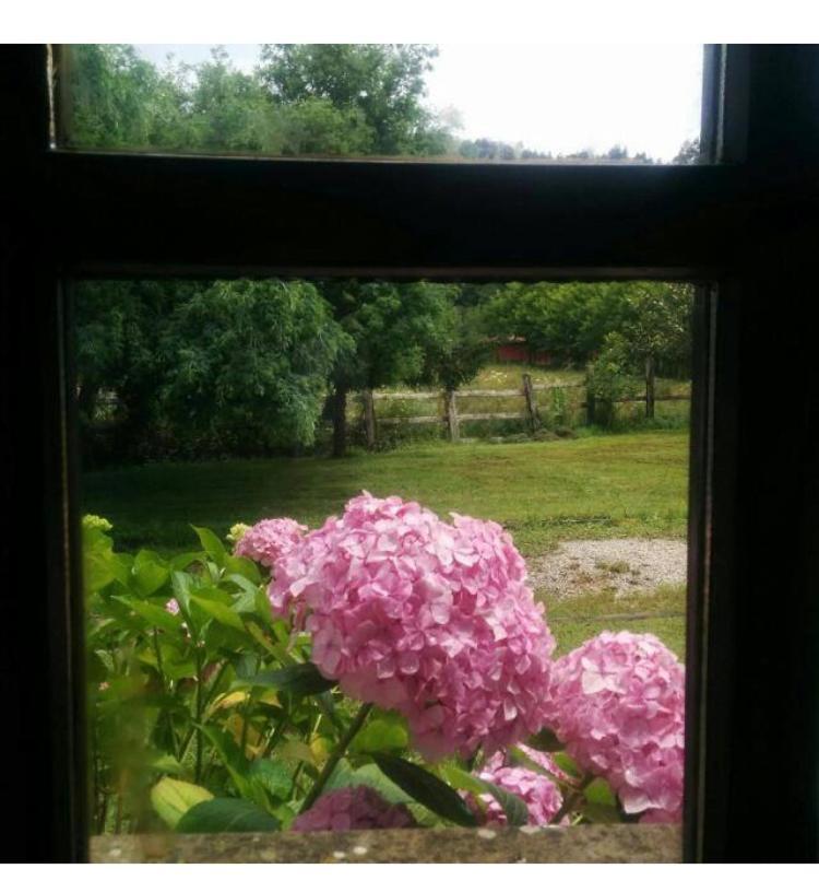 Casa Rural El Pozo Tremeo Сонья Экстерьер фото
