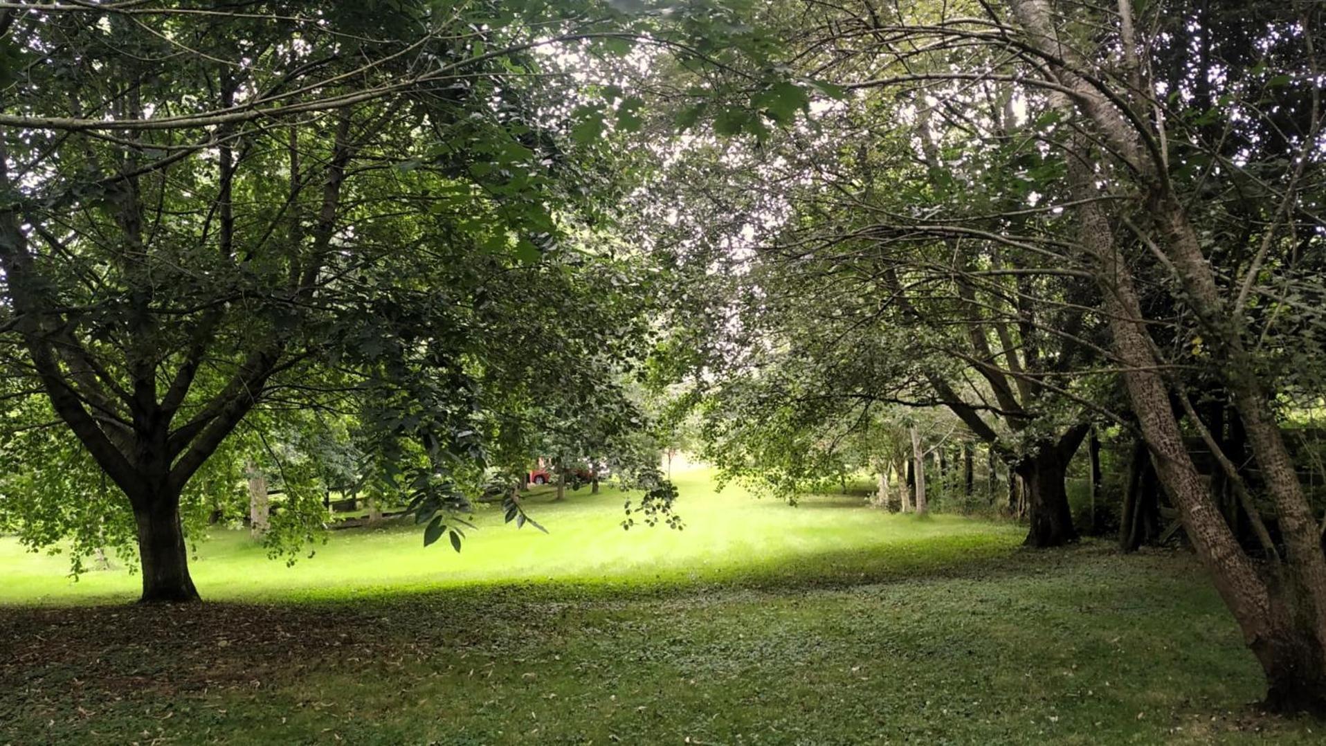 Casa Rural El Pozo Tremeo Сонья Экстерьер фото